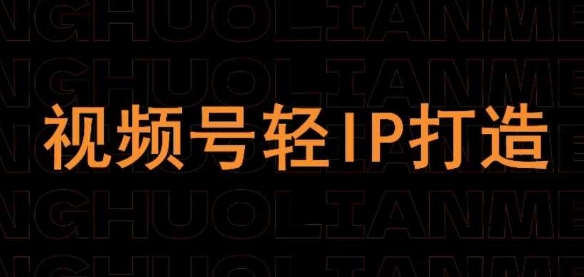 视频号：线上课程，轻IP打造（内部直播课）-AI创作学习-提示词应用-短视频玩法唐辛AI创作学习网