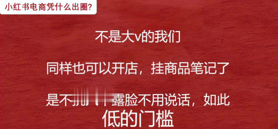 图片[2]-AI创作学习-提示词应用-短视频玩法2025 必看！小红书无货源电商教程，零门槛也能轻松做电商！-AI创作学习-提示词应用-短视频玩法唐辛AI创作学习网