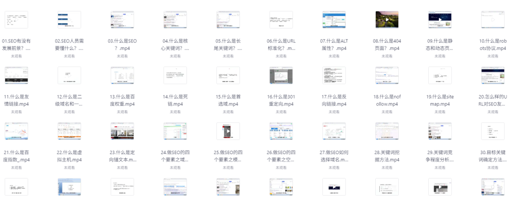 零基础SEO优化课程，手把手教你做SEO优化，只讲干货-AI创作学习-提示词应用-短视频玩法唐辛AI创作学习网