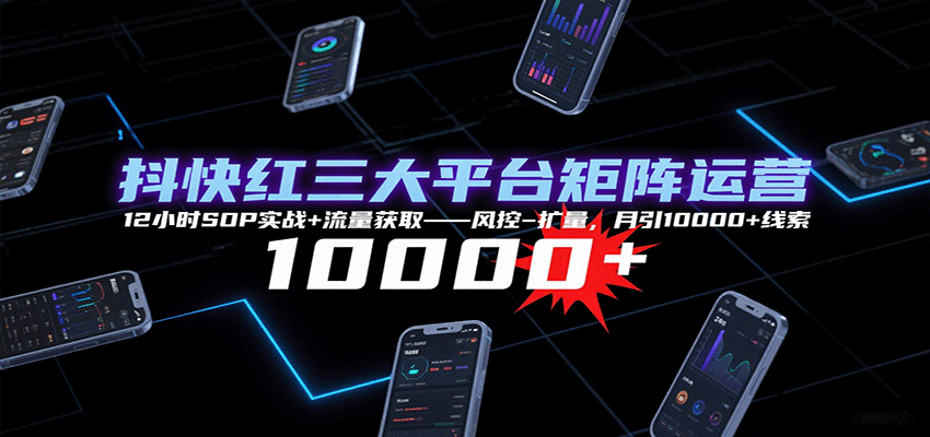 抖快红矩阵运营课！12 小时 SOP，月引 10000 + 线索！-AI创作学习-提示词应用-短视频玩法唐辛AI创作学习网