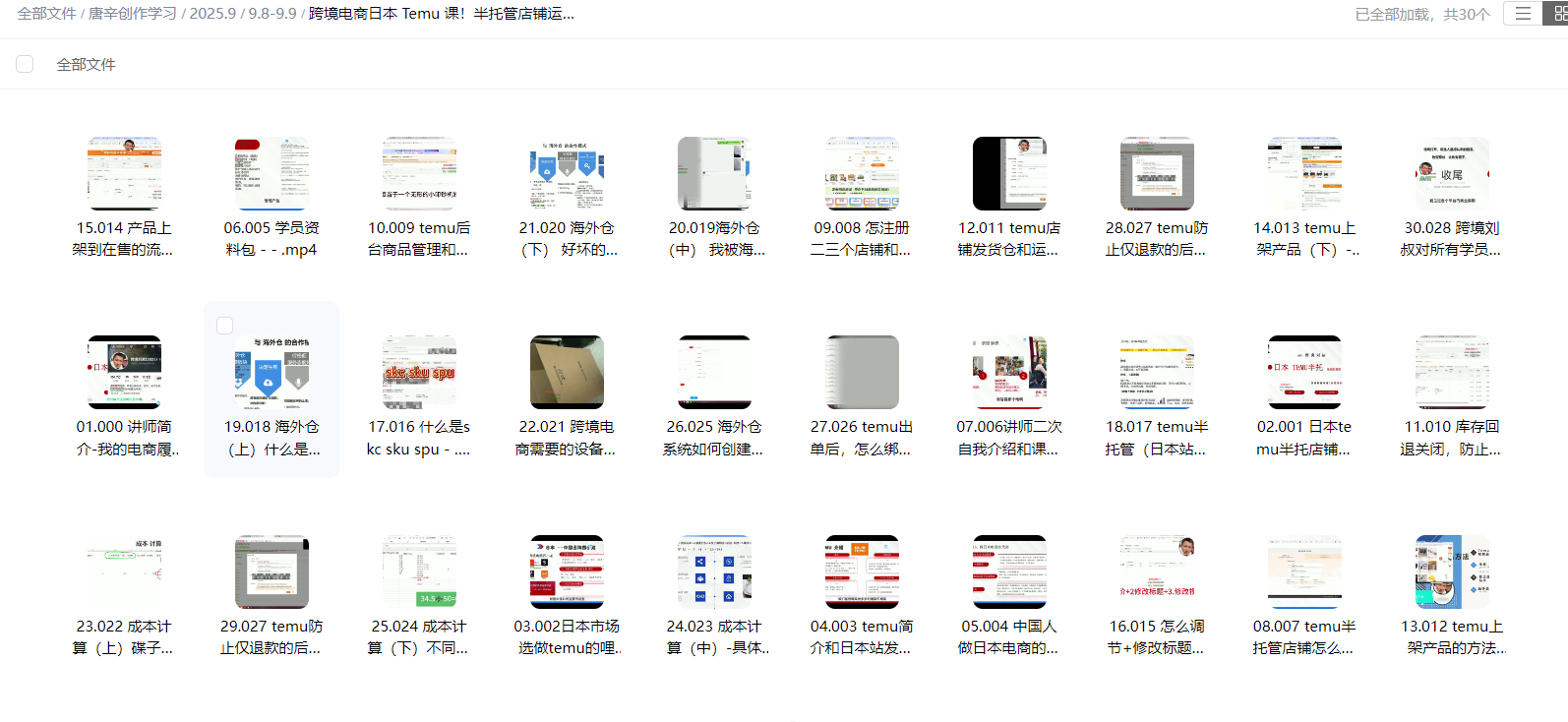 跨境电商日本 Temu 课！半托管店铺运营实战教，新手能快速入局，抢占蓝海市场好赚钱！-AI创作学习-提示词应用-短视频玩法唐辛AI创作学习网