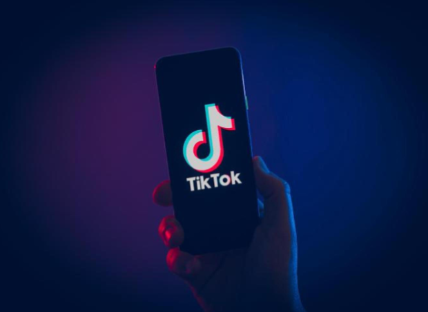 TikTok 全套视频课！新手入门到进阶都教，ADS-GMV MAX 投流打品，日销破 1000 单有方法！-AI创作学习-提示词应用-短视频玩法唐辛AI创作学习网