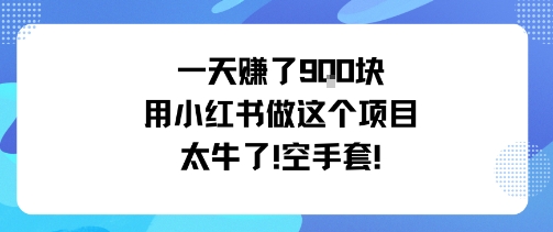 一天挣了9张用小红书做这个项目太牛了，空手套-AI创作学习-提示词应用-短视频玩法唐辛AI创作学习网
