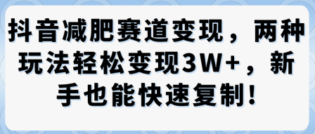 抖音减肥赛道变现，两种玩法轻松变现3W+，新手也能快速复制-AI创作学习-提示词应用-短视频玩法唐辛AI创作学习网