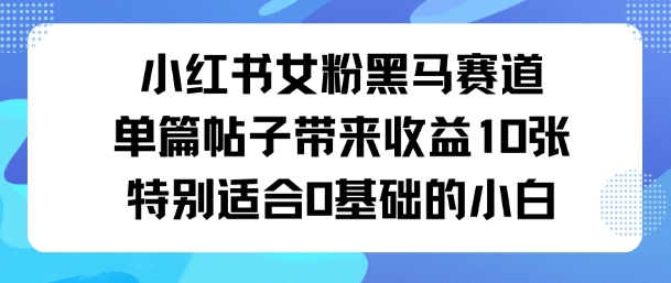 小红书女粉黑马赛道单篇帖子带来收益10张特别适合0基础的小白-AI创作学习-提示词应用-短视频玩法唐辛AI创作学习网