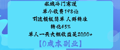 私域冷门赛道  单个收费198米引流模板 简单人群精准转化45%   单人一天大概收益是1k+-AI创作学习-提示词应用-短视频玩法唐辛AI创作学习网