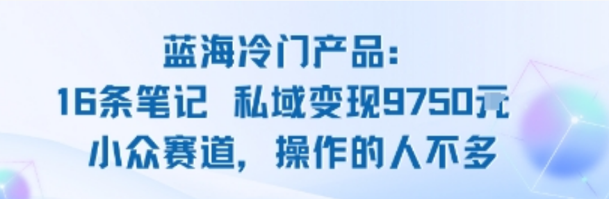 蓝海项目：16条笔记私域变现9750米小众赛道操作的人不多-AI创作学习-提示词应用-短视频玩法唐辛AI创作学习网