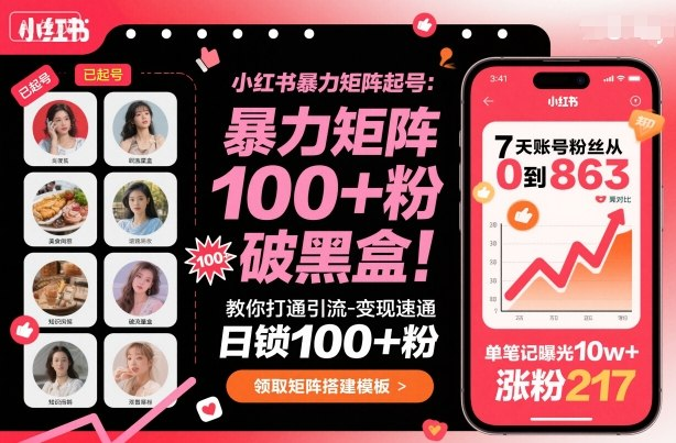 小红书暴力矩阵起号，教你打通引流-变现速通，日锁100+粉，破流量黑盒-AI创作学习-提示词应用-短视频玩法唐辛AI创作学习网